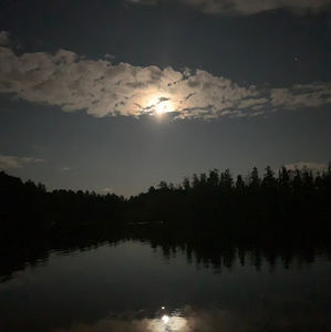 Meet your Posher, Abbey